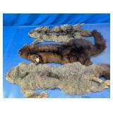Animal Fur Pelts