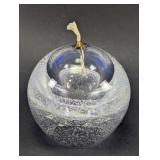 Clear Blown Bubble Glass Oil Lamp