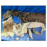 Animal Hide and Pelt Pieces