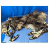 Animal Hide with Hooves