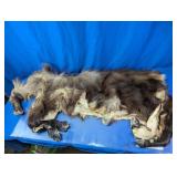Animal Hide with Hooves