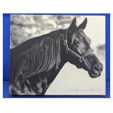 Black & White Horse Gicleé Canvas Art