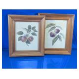Framed Botanical Fruit Art Prints