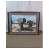 Framed African Elephants Wildlife Art Print