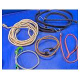 Assorted Bungee Cords & Rubber Tie-Downs