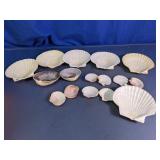Scallop And Shell Assortment