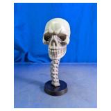 Skull And Spine Skeleton Display