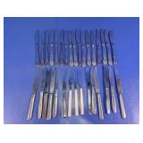 Stainless Steel Table Knife Assortment