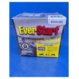 EverStart ES4LBS AGM Power Sport Battery