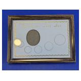 Birthyear Coin Set Empty Display Frame