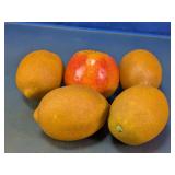 Realistic Artificial Faux Fruit Decor Lot