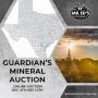 Guardian's Mineral Auction - Online Only