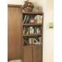 Shelf and contents