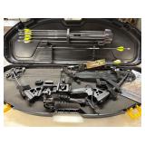 Compound Bow at Online Auction