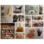 The Great Knickknacks Roundup - Eureka Kansas
