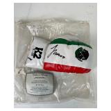 Signed Julio Cesar Chavez Mexican Flag Boxing Glove by K2