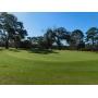 Nine Hole Golf Course on 72+/- Acres in Marion County, FL