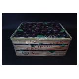 Vintage Inspired Tin 4.5'H x 10.5'W x 8'D