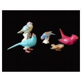 Miniature Bird Collection