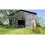 105 +/- Acre Farm with House & Barns at Absolute LIVE/Online Auction