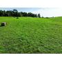 66.8 +/- Acres at Absolute Multi-Parcel Auction