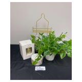 Threshold UltraSonic Diffuser, Granite Deco Box, Potted Plant, Shower Caddy