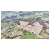 64.28 +/- Acres Farm in Nancy, Ky at Absolute Live/Online Multi-Parcel Auction