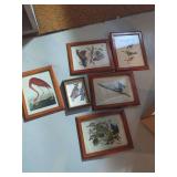Collection of Framed Bird Art Prints
