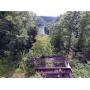 Lot located in Jabez, Kentucky at Absolute Online Auction