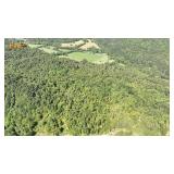(Updated Survey) 29.96 +/- Acres in Monticello, Ky at Absolute Online Auction