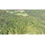 (Updated Survey) 29.96 +/- Acres in Monticello, Ky at Absolute Online Auction