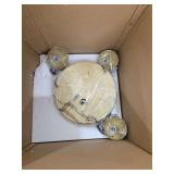 Ceiling Light Fixture with Globe Shades