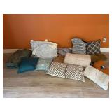 Assorted Home Goods: Pillows, Blanket, and More