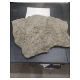 LARGE FOSSIL ROCK 23X18