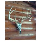 Decorated Deer Skull Mount