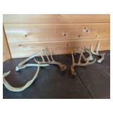 Deer Antler Sheds
