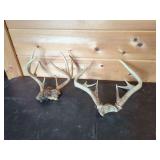 Two Deer Antler Sets