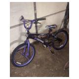 Inspire Genesis Bicycle