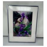 Framed Print Iris Flower By Kathleen A. Murphy