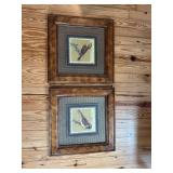 2 Framed Bird Pictures