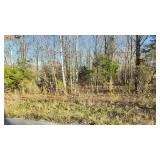 LOT #12 of Ron Lee Subdivision