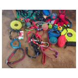 Dog Supplies: Collars, Harnesses, Toys, and Apparel