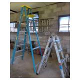 Werner and Servicemaster Ladders
