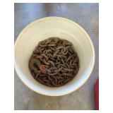 Metal Chain with Hook