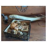 Powder Horn, Cast Squirrel, and Seashells