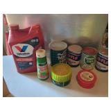 Fluids and Car Care Products Assortment