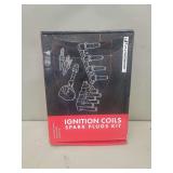 R-Premium Ignition Coils and Spark Plugs Kit ICK9E29AL-4-C