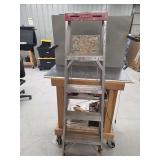 Werner SAF-T-MASTER Model 355 Ladder