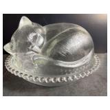 Sleeping Kitten on Nest