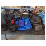Bags and Carrying Cases